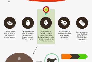 El Menú de Hoy: Cobre