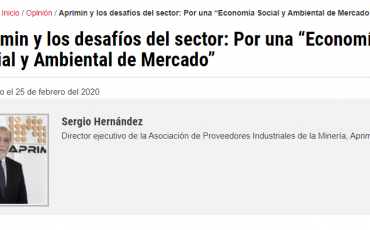 Columna de Sergio Hernández y los desafíos del sector: Por una “Economía Social y Ambiental de Mercado”