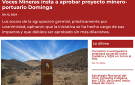 Voces Mineras insta a aprobar proyecto minero-portuario Dominga