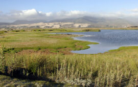 La Ley de Biodiversidad y sus implicancias para la minería