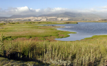 La Ley de Biodiversidad y sus implicancias para la minería
